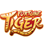 como jogar fortune tiger ícone